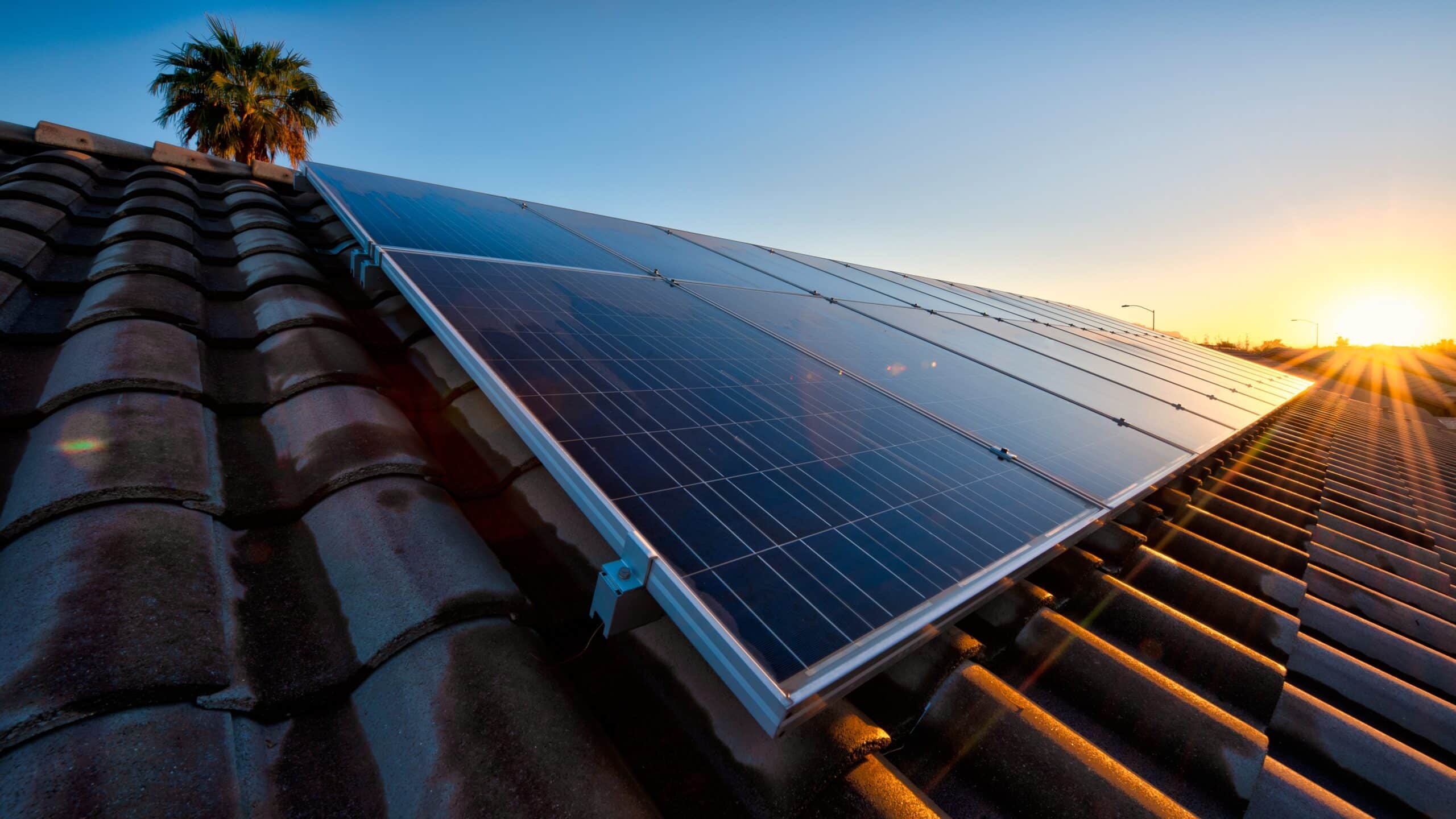 solar-panels-2024-11-25-21-47-15-utc